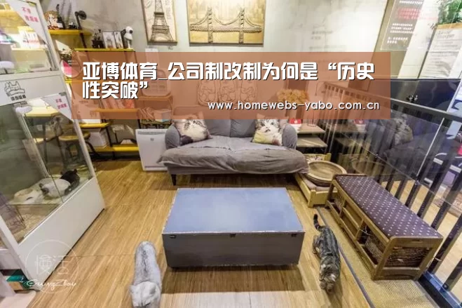 亚博体育_公司制改制为何是“历史性突破”(图2) 亚博