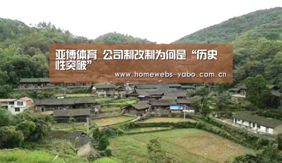 亚博体育_公司制改制为何是“历史性突破”(图4) 亚博