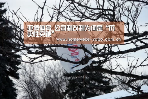 亚博体育_公司制改制为何是“历史性突破”(图3) 亚博官方网站