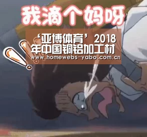 ‘亚博体育’2018年中国铜铝加工材产量数据发布(图1) 亚博