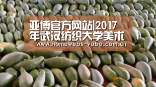 亚博官方网站|2017年武汉纺织大学美术类校考分数查询系统 入口:http://211.67.63.11/search2/(图4) 亚博体育