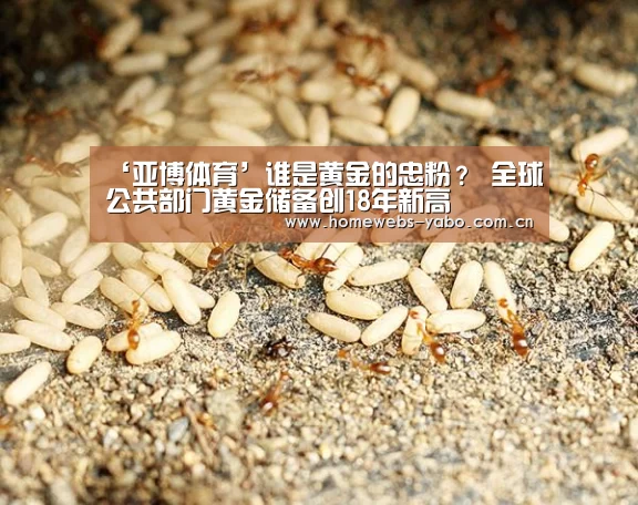 ‘亚博体育’谁是黄金的忠粉? 全球公共部门黄金储备创18年新高(图3) 亚博