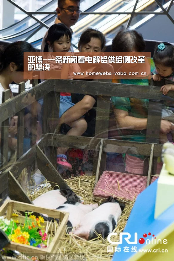亚博官方网站