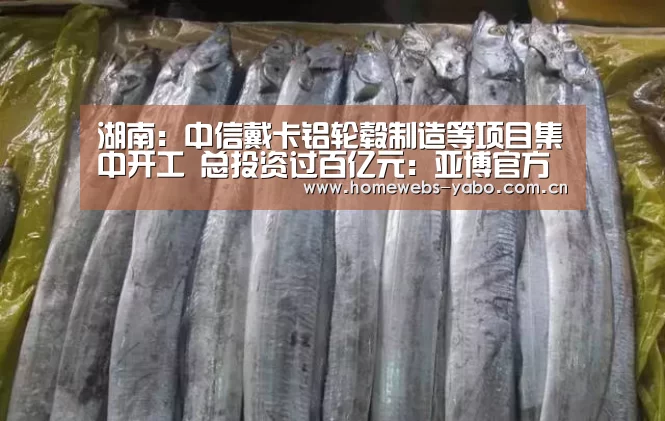 湖南:中信戴卡铝轮毂制造等项目集中开工 总投资过百亿元:亚博官方网站(图2) 亚博