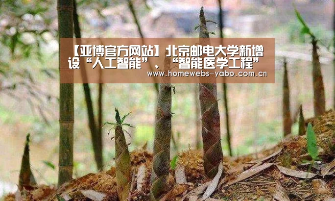 【亚博官方网站】北京邮电大学新增设“人工智能”、“智能医学工程”本科专业(图3) 亚博官方网站